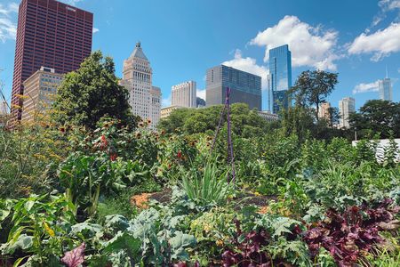 An urban skyline appears in the background with lush plants growing in the foreground