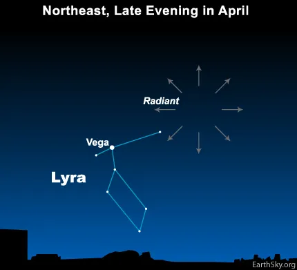 A diagram of the constellation Lyra, the star Vega and the point from which the Lyrids appear to come
