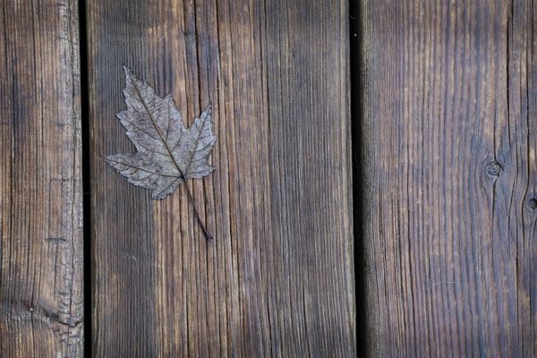 Maple leaf on deck thumbnail