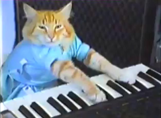 Keyboard Cat meme