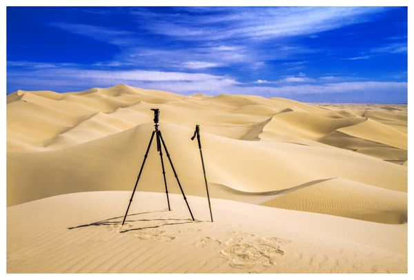Steady on the Imperial Dunes, California thumbnail