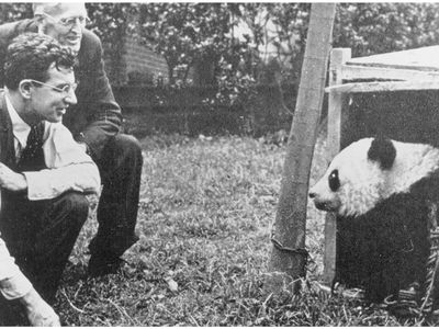 David Graham, rear, with John Tee-Van, front, with one of the young pandas.