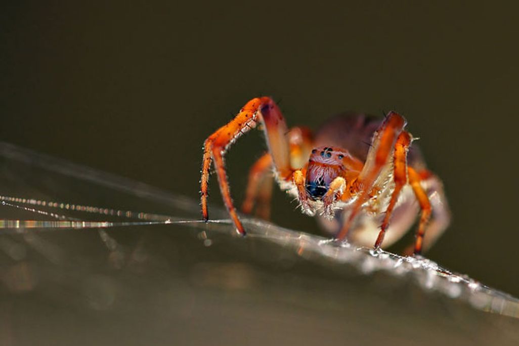 201105201023297th-photocontest-natural-8.jpg