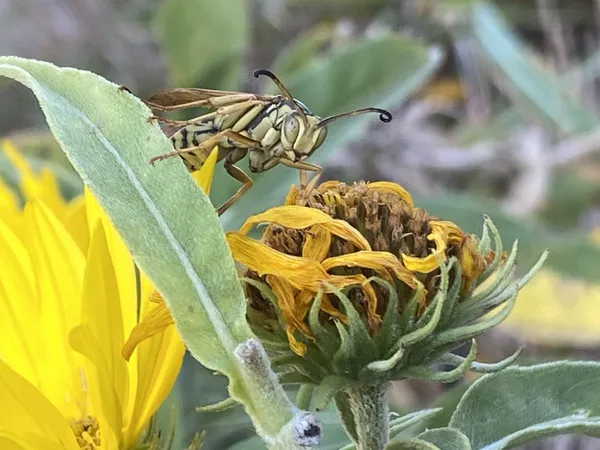 Here's Looking at You thumbnail