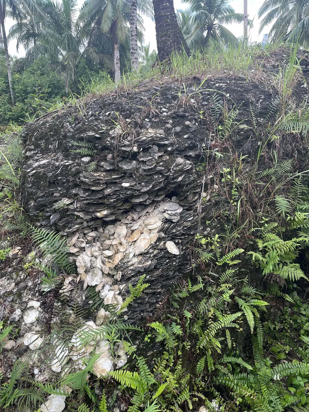 Midden Mound