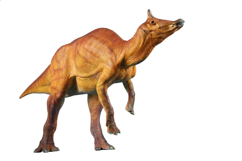 CA state dino