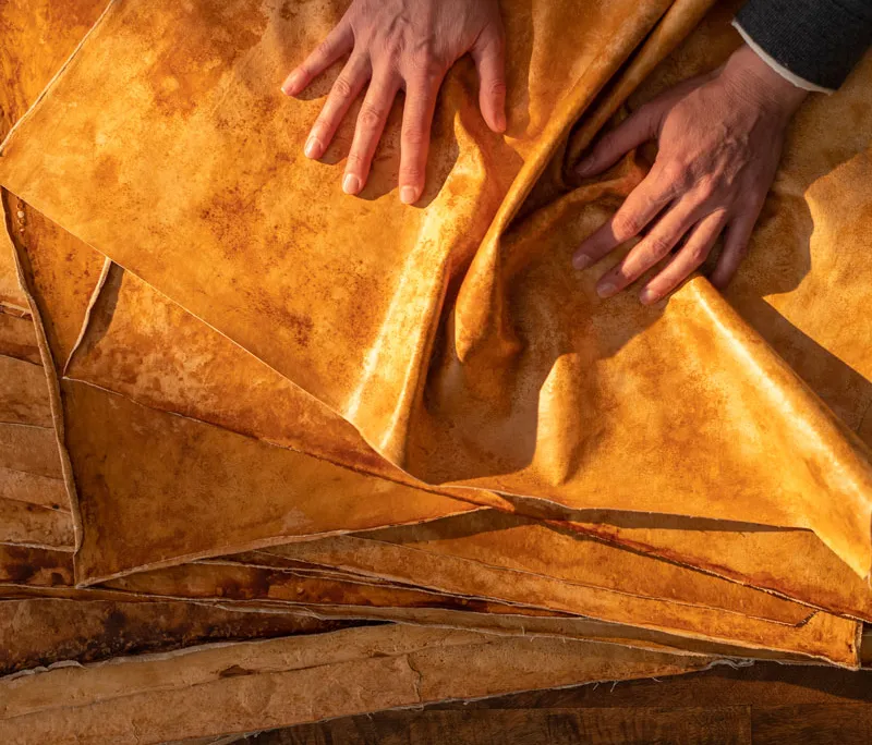 An image of human hands showcasing leather made from mushrooms