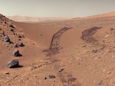 Signs of terrestrial life on Mars: Curiosity's rover tracks.