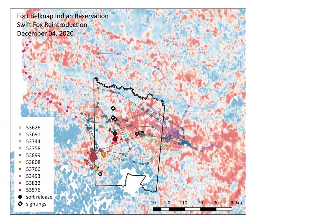 This map shows the movement of the swift foxes, overlaid on one of our habitat assessment models. The red areas of the map indicate high-quality habitat, and the blue areas indicate low-quality habitat.