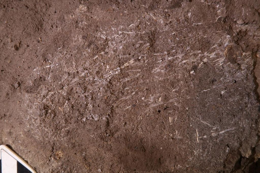 200,000-year-old bedding