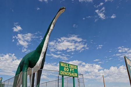 An 80-foot dinosaur at the entrance to the town of Wall, South Dakota, advertises for Wall Drug.