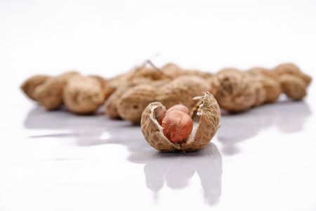 The molds responsible for aflatoxins grow on a number of staple crops, including corn, peanuts, millet, wheat, cottonseed and tree nuts.