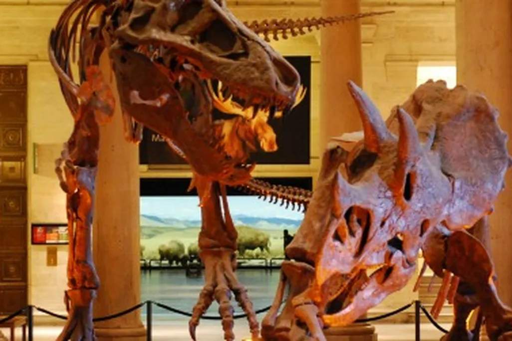 20120511084018dinosaur-fight-thumb.jpg