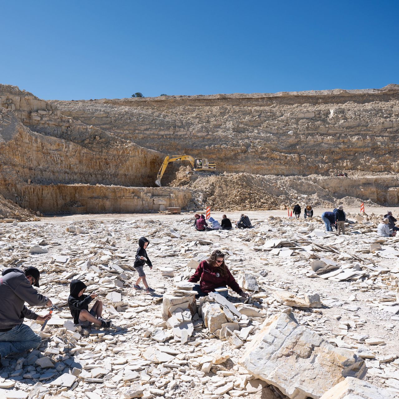 希少❗️ヤンキーズFossil sep2022_i03_greenriver.jpg