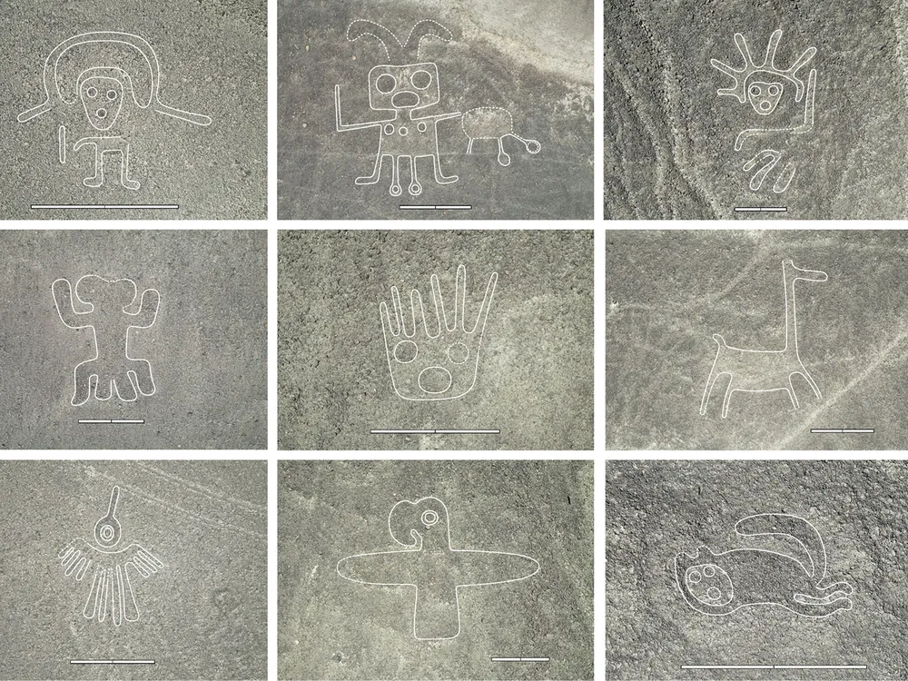 Nine of the newly discovered drawings