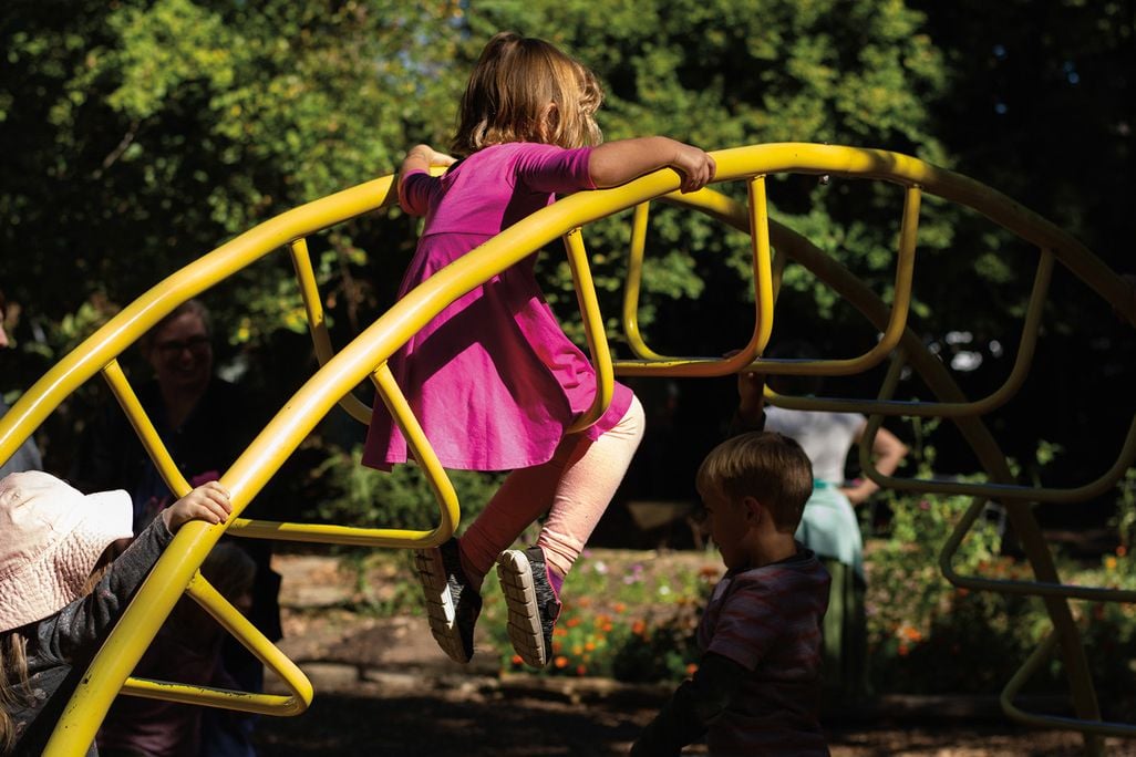 Children play on a jungle gym