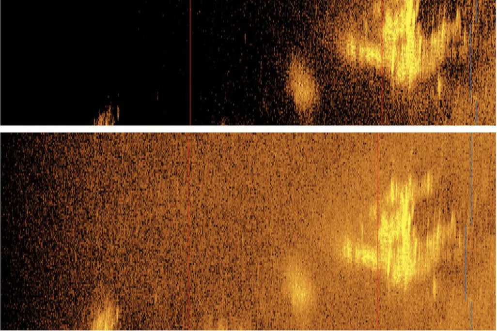 sonar image of a plane-like object