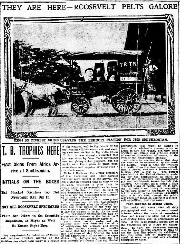 Newspaper article with title "They Are Here - Roosevelt Pets Galore" that features photo of a horse-drawn wagon stacked with barrels, many of which bear the large white initials "TR."