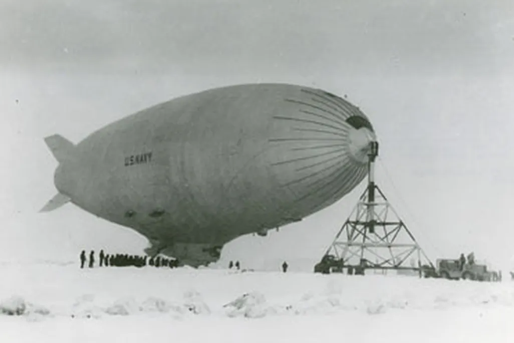 Snow Bird
