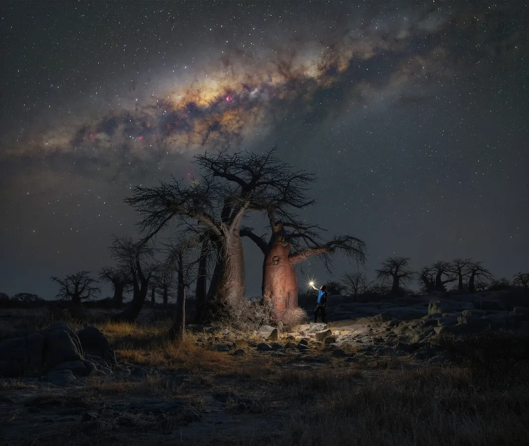 The milky way over baobab trees