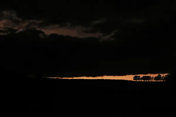 Trees at Sunset, Sigy le Châtel 2021 thumbnail