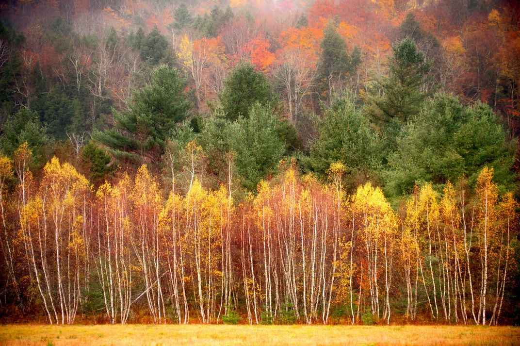 Fall in New England | Smithsonian Photo Contest | Smithsonian Magazine