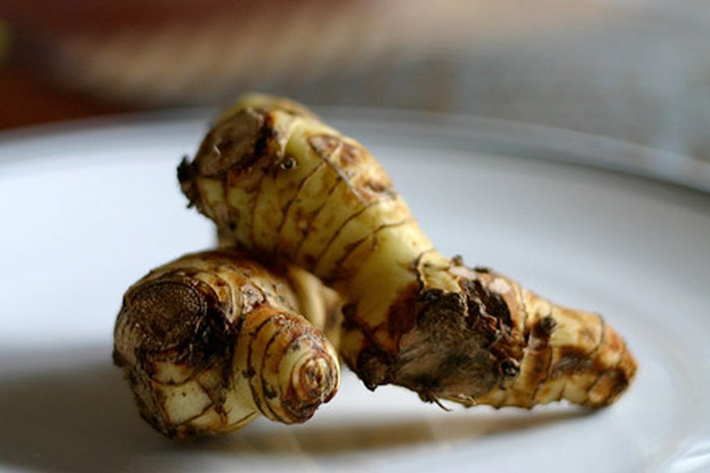 What do you do with galangal