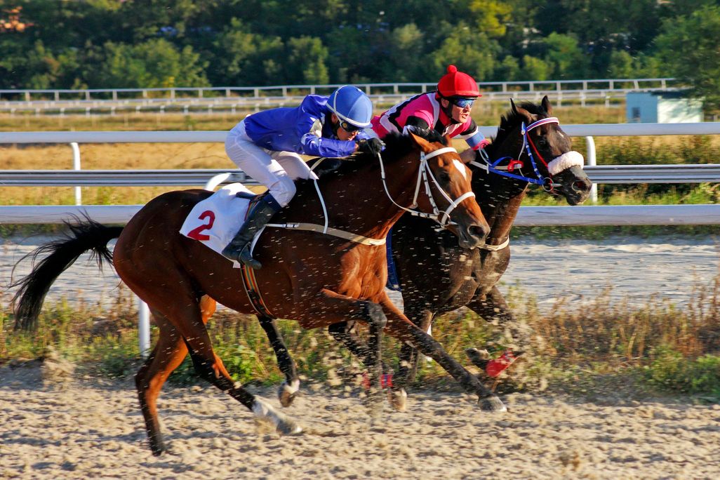 Horse Race