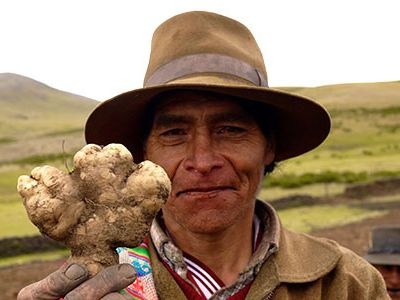 Inspired by recent archaeological research, the people in the Cuzco region of Peru are rebuilding terraces and irrigation systems and reclaiming traditional crops and methods of planting.