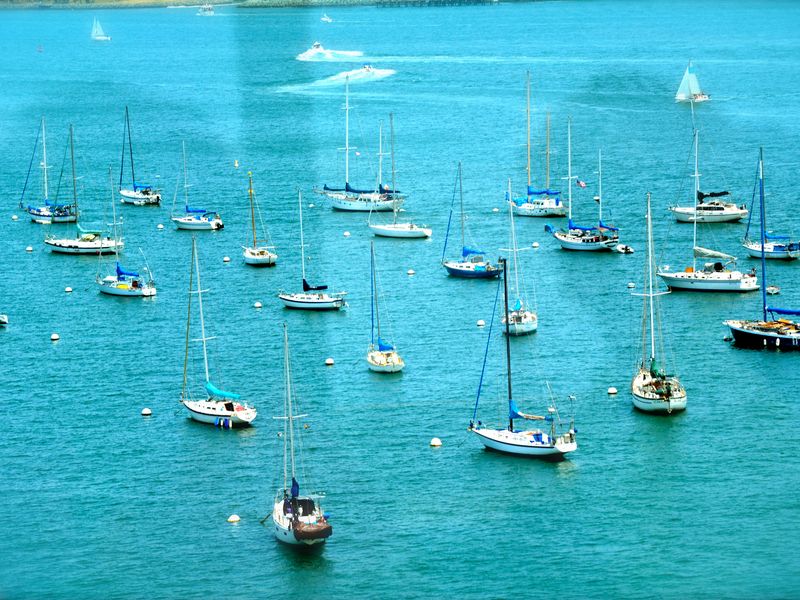 The Bridge to Coronado Island in San Diego Smithsonian Photo Contest Smithsonian Magazine