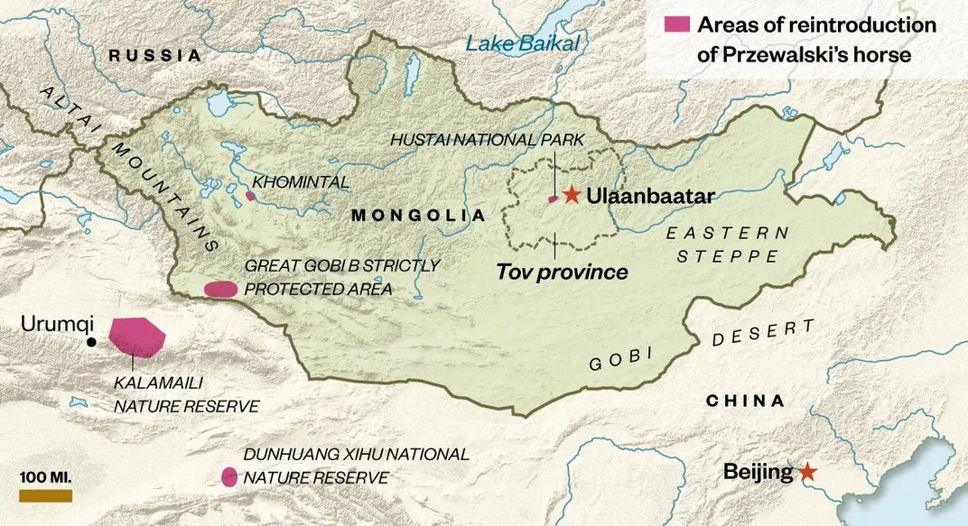 P-horse reintroduction map