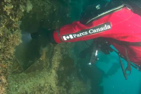 Marine archaeologists explore the HMS Terror on the seafloor of the Arctic Ocean. To get a look inside the ship, divers deployed a remotely operated vehicle, or ROV. 