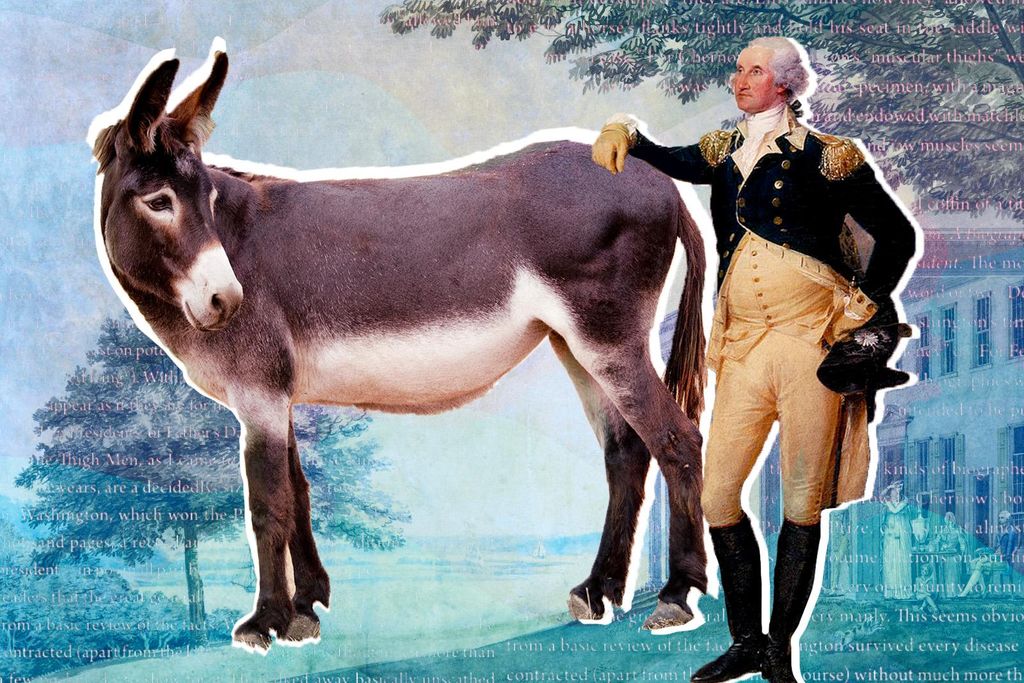 George Washington and a mule