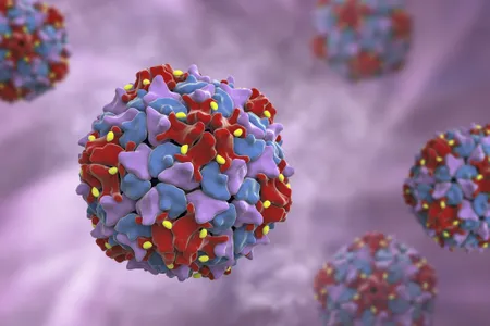 Poliovirus particles, computer illustration.