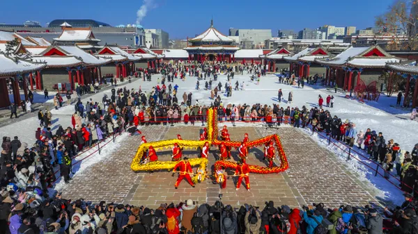 《The dragon of the Forbidden City in China》 thumbnail