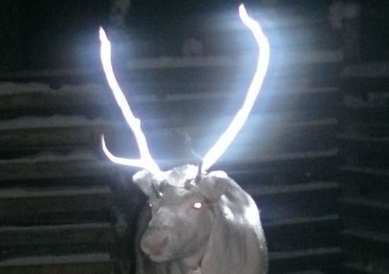 To Avoid Deer Strikes, Finland Is Painting Deer Antlers With Reflective  Paint, Smart News