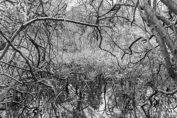 Metal Woods thumbnail