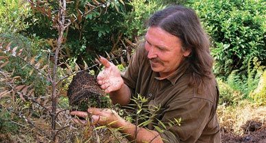 A fungus from a group that ravages trees around the world is now infesting New Zealands ancient, symbolic kauris