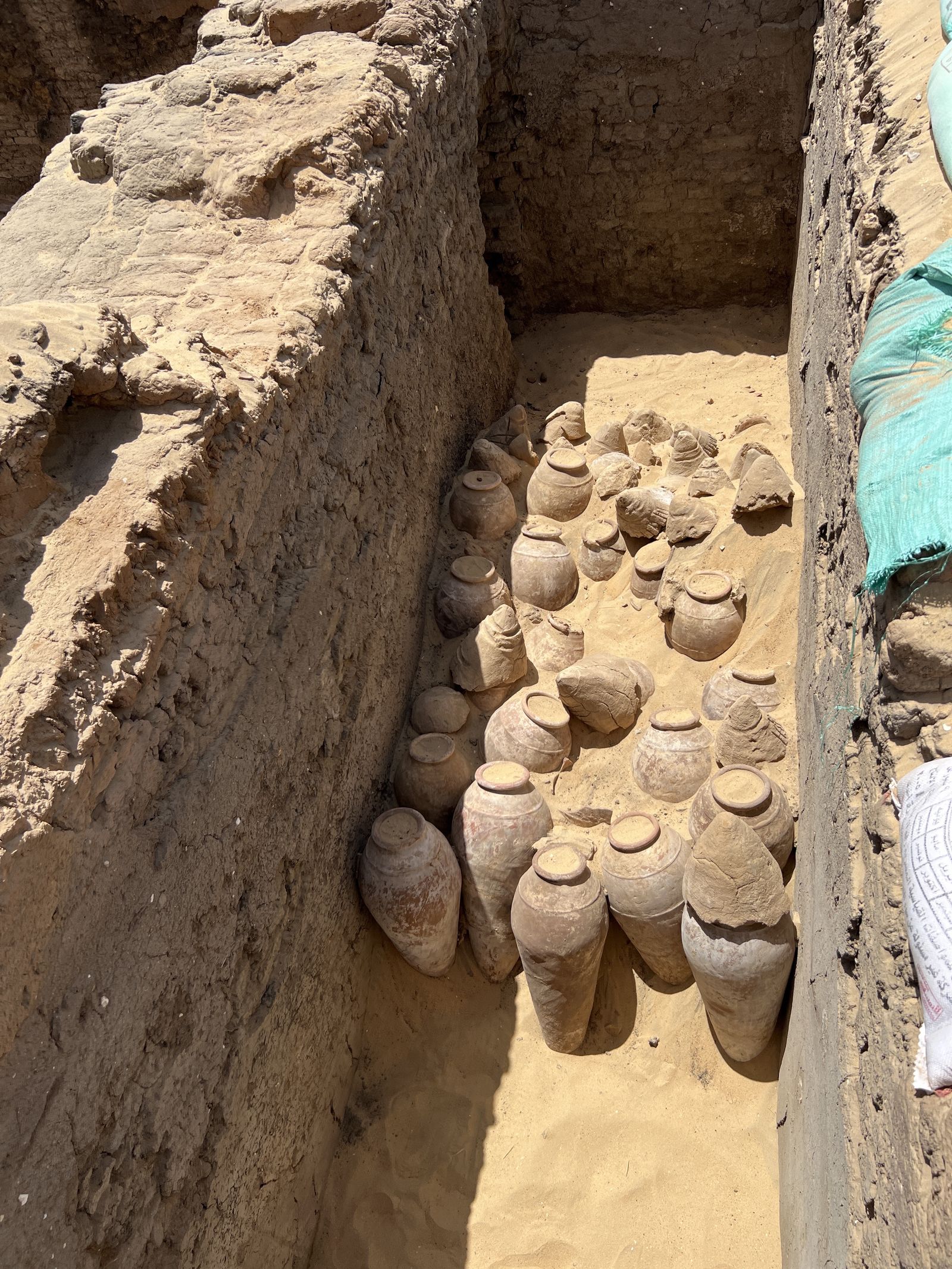 While excavating the tomb of the Egyptian Queen Meret-Neith in Abydos, archaeologists discovered hundreds of 5,000-year-old wine jars. Dig leader Ch