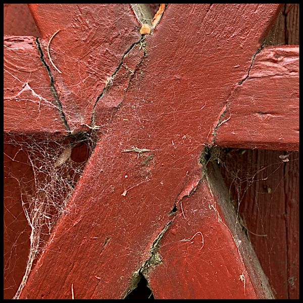 The Back Gate with Webs thumbnail