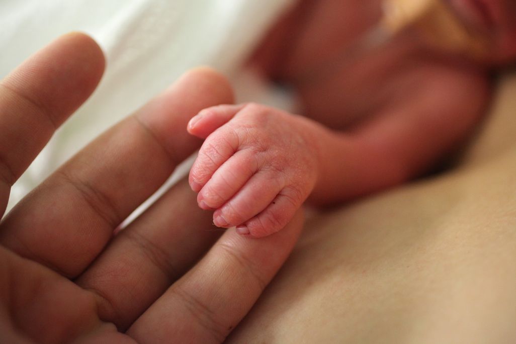 A hand of a prematurely born baby rests on the fingers of an adult
