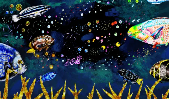 Coral illustrations