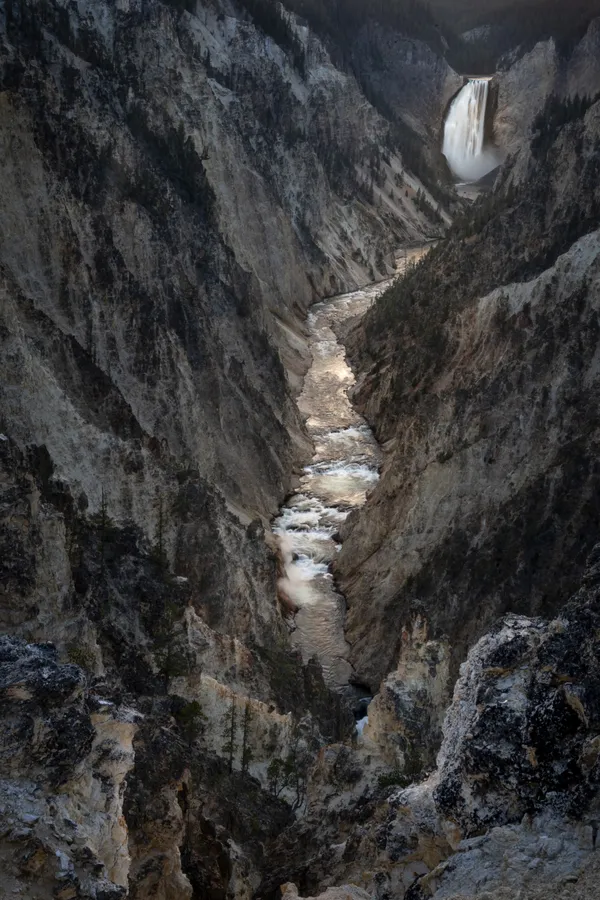 The Grand Canyon of Yellowstone at Sunrise thumbnail