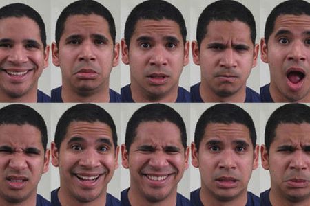 Some of the expressions the researchers identified, from top left to bottom right: happy, sad, fearful, angry, surprised, disgusted, happily surprised, happily disgusted, sadly fearful, sadly angry.