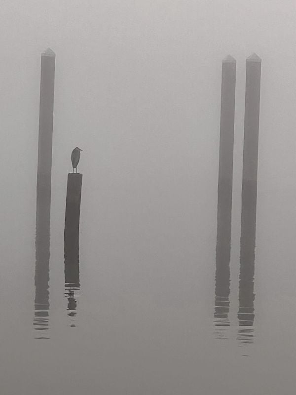Charleston Harbor Foggy Morning thumbnail