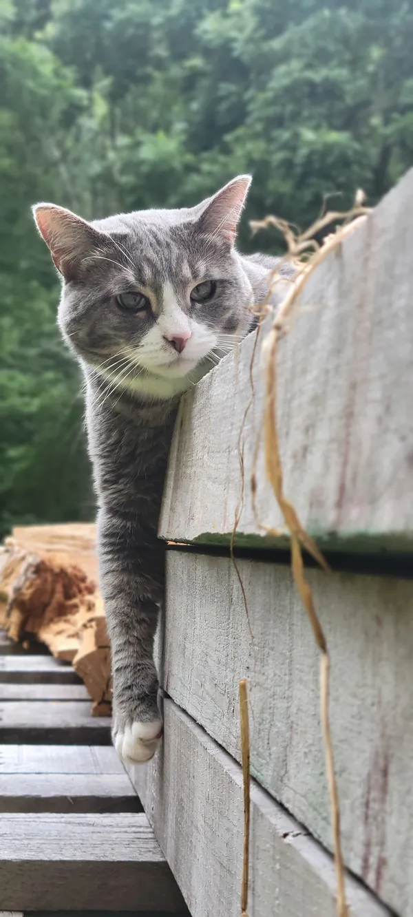 Careful Consideration thumbnail