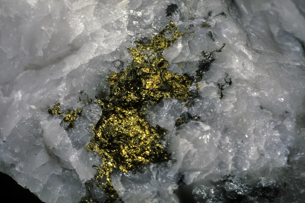 gold vein in quartz close-up