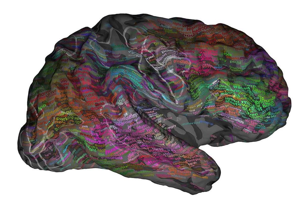 Brain Map