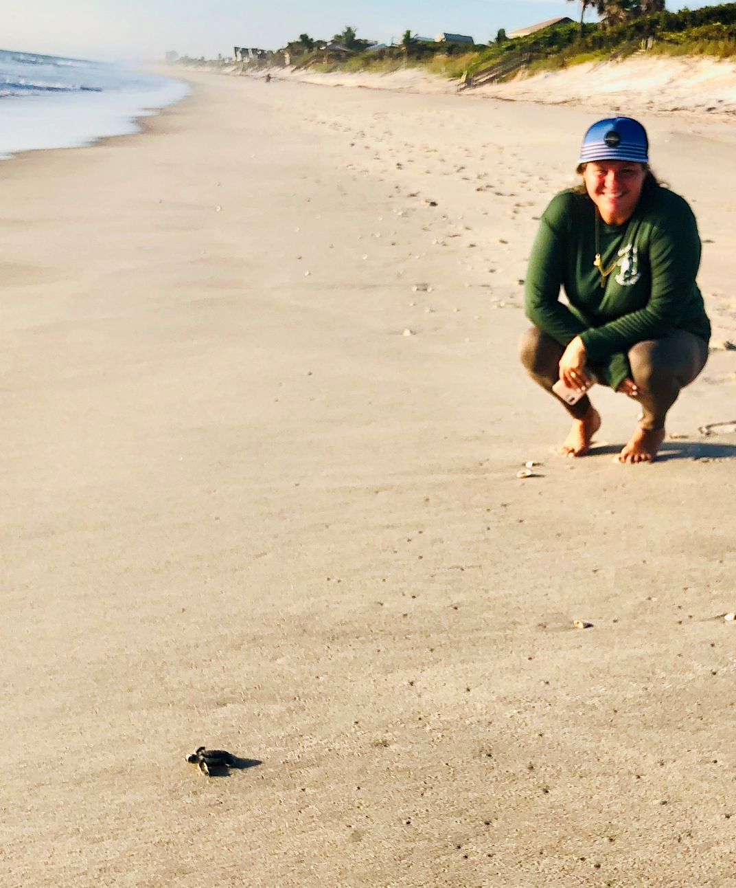 A person on a beach with a baby sea turtle.