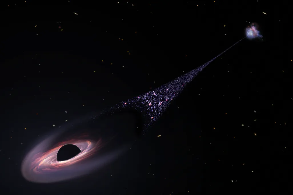 A runaway black hole with a stream of stars behind it